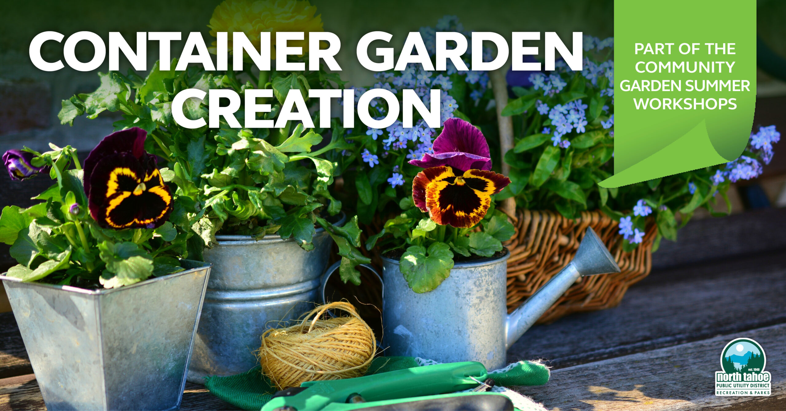 Container Garden Creation: Part of the community summer garden workshops