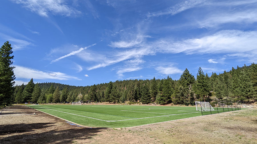 Field 4 in summer