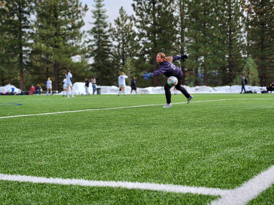 Field 4 goalie
