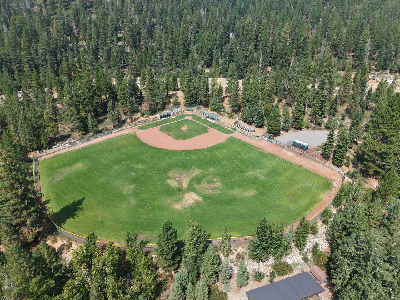 Field 5