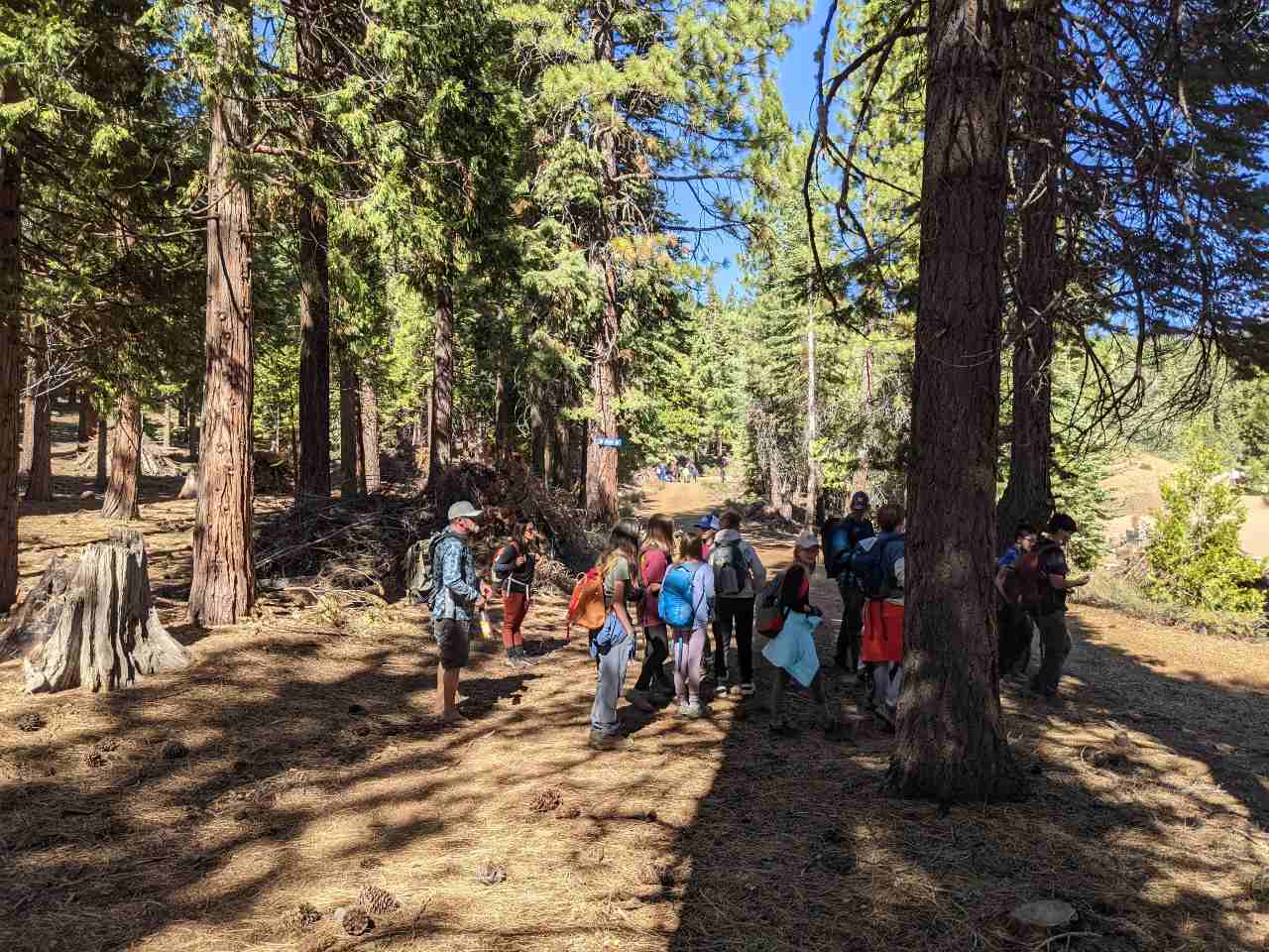 Youth group in the woods