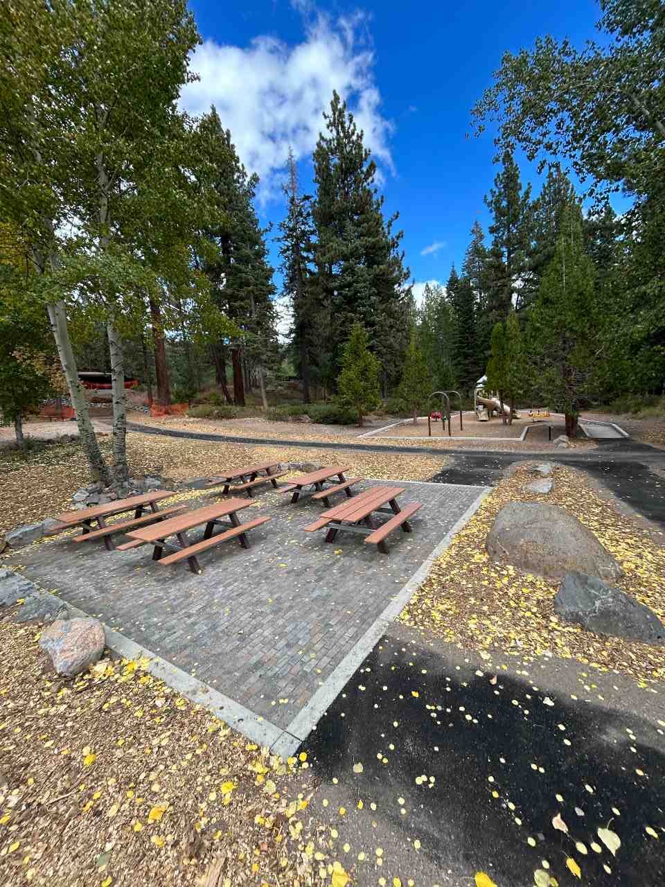 Playground in background and picnic benches in foreground
