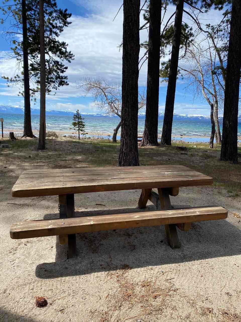 TVRA picnic area bench