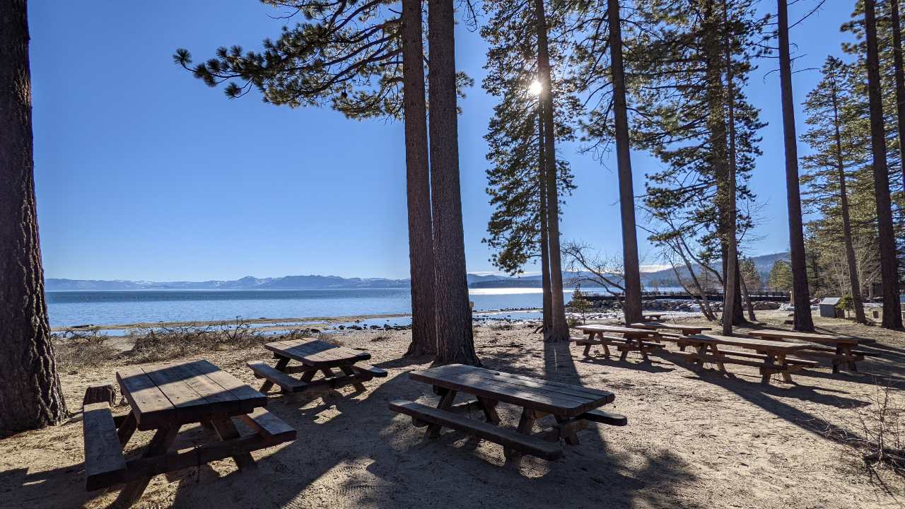 TVRA picnic area benches under the pines