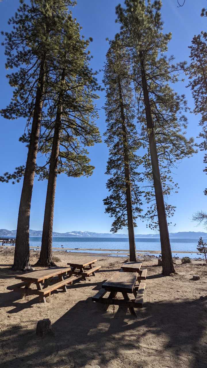 TVRA picnic area benches under the pines