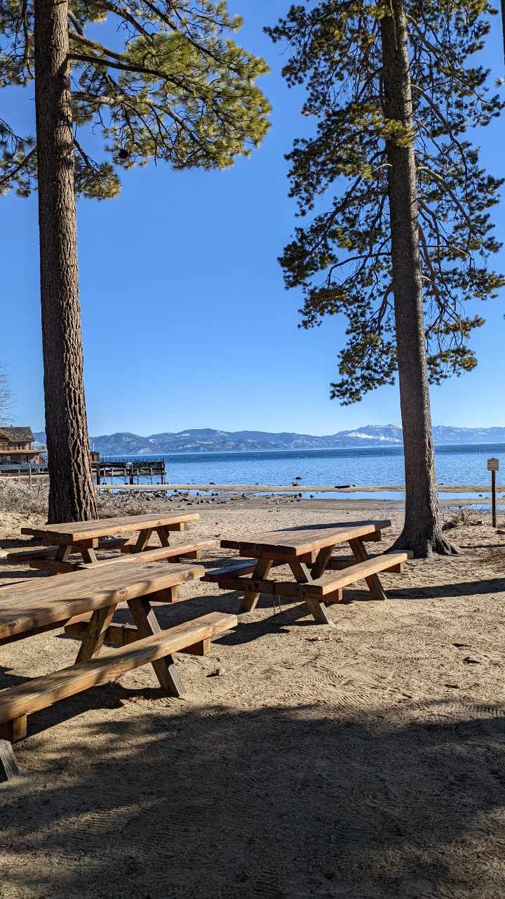 TVRA picnic area benches under the pines