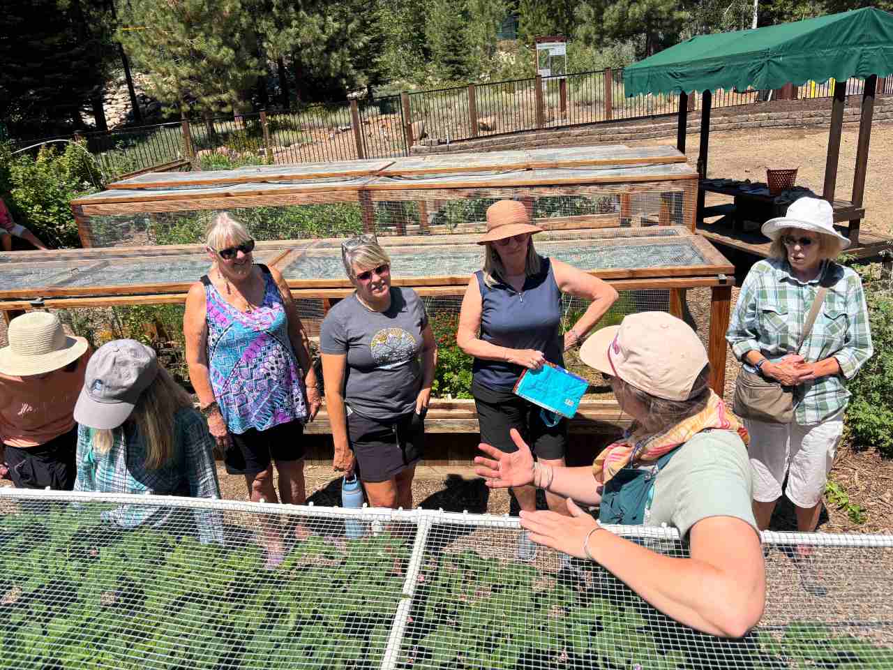 Golden hour gathering at the community garden