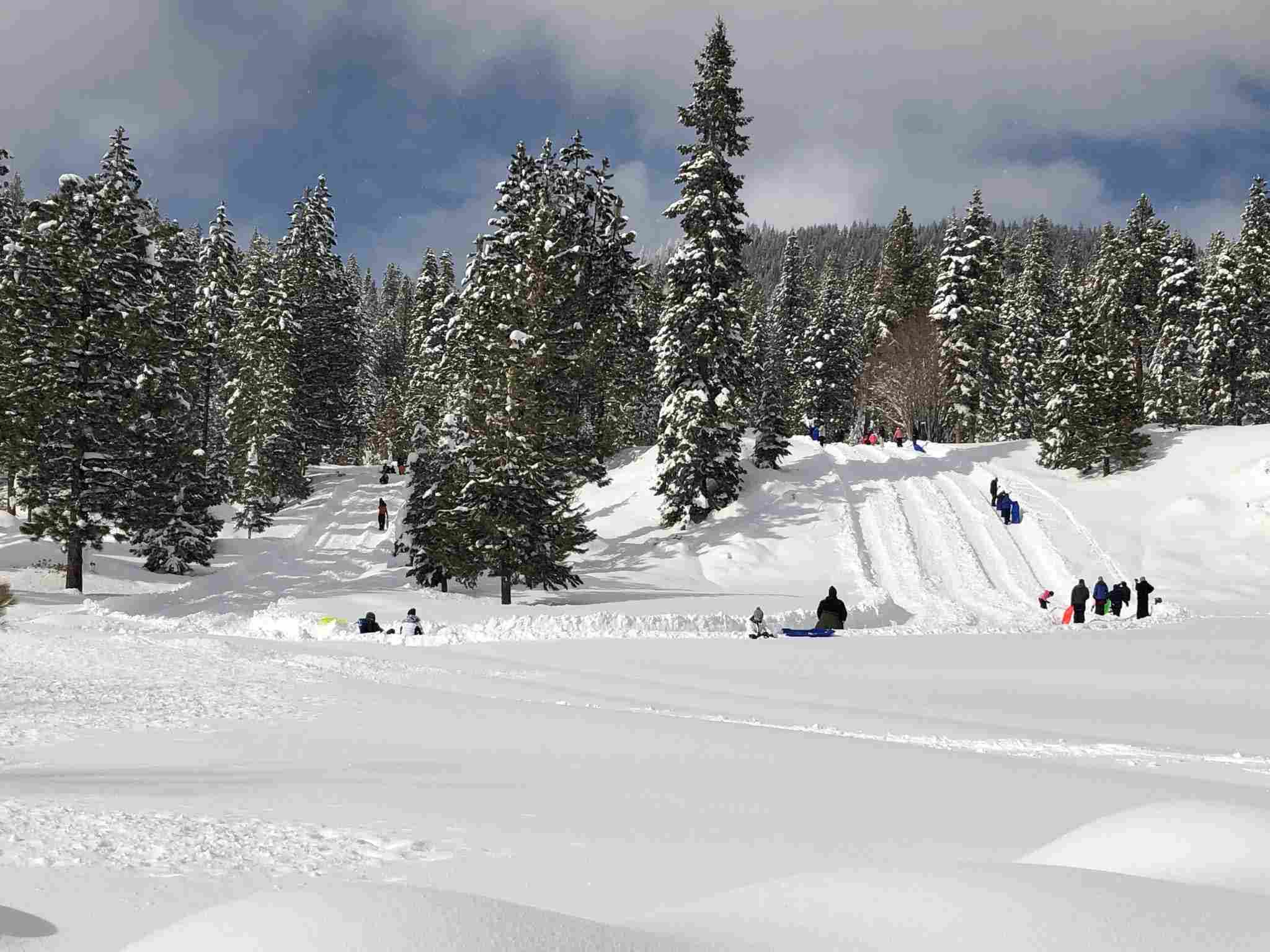 groomed sled hill