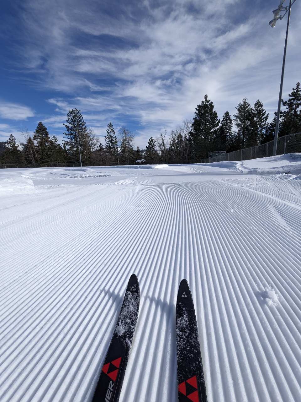 groomed trail and the tips of nordic skis